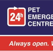Animal Accident  Emergency - Vets Perth