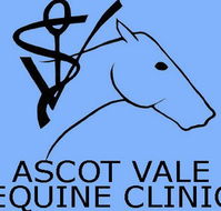 Ascot Vale Equine Clinic - Vets Perth