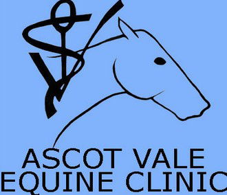 Ascot Vale Equine Clinic - Vets Perth 0