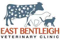  Vets Perth