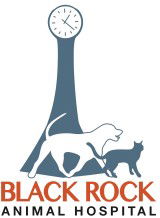 Black Rock Veterinary Clinic - Vets Perth 0