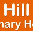Box Hill Veterinary Hospital - Vets Perth