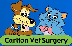 Carlton Veterinary Clinic - Vets Perth 0
