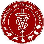  Vets Perth