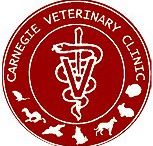 Carnegie Veterinary Clinic - Vets Perth