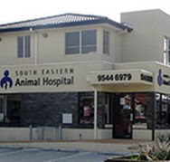 South Eastern Animal Hospital - Vets Perth