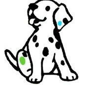 Four Paws Vets - Findon Vet Surgery - Vets Perth