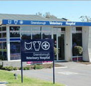 Greensborough Veterinary Hospital - Vets Perth