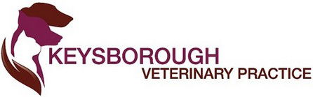  Vets Perth