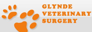Joslin SA Vets Perth