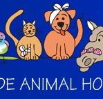 AdelaideVet - Goodwood Road - Vets Perth