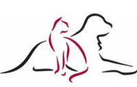 Paralowie Veterinary Surgery