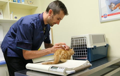 Seaford Vet Care - Vets Perth 0