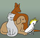 Southcoast Animal Hospital - Vets Perth