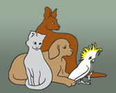 Southcoast Animal Hospital - Vets Perth 0