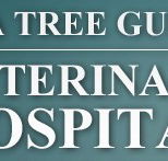 Tea Tree Gully Veterinary Hospital - Vets Perth
