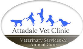 Melville WA Vets Perth