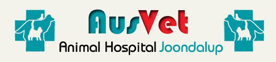 Banksia Grove WA Vets Perth