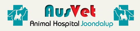 AusVet Animal Hospitals - Vets Perth 0