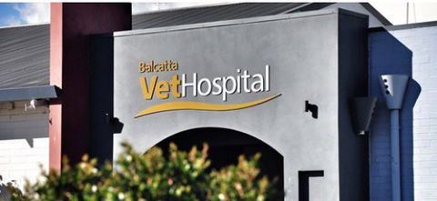 Balcatta Veterinary Hospital - Vets Perth 1