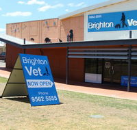 Brighton Vet - Vets Perth