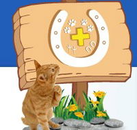 Midland Vet Hospital - Vets Perth