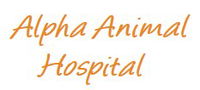 Book Coolangatta Accommodation Vacations Vets Perth Vets Perth