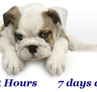 Animal Ambulance - Vets Perth