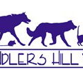 Chandlers Hill Vet - Vets Perth