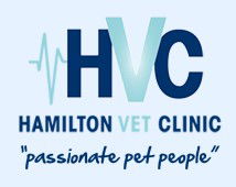 Hamilton Veterinary Clinic - Vets Perth 0