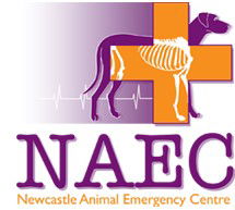 Newcastle Animal Emergency Centre - Vets Perth 0