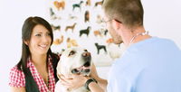 All Creatures Veterinary Centre