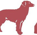 Deakin Veterinary Hospital - Vets Perth