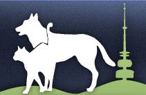 Gungahlin Veterinary Hospital - Vets Perth 0