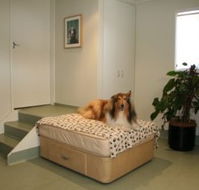 Holistic Paws - Vets Perth