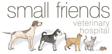 Harrison ACT Vets Perth