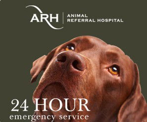 Homebush NSW Vets Perth