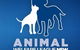 Animal Welfare League NSW - thumb 0