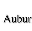 Auburn Veterinary Hospital - Vets Perth