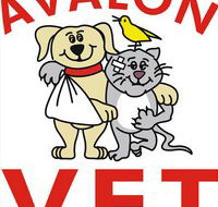 Avalon Veterinary Hospital - Vets Perth
