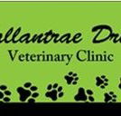 Ballantrae Drive Veterinary Clinic - Vets Perth