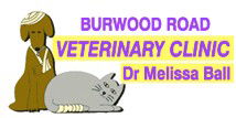 Burwood Road Vet Clinic - Vets Perth 0