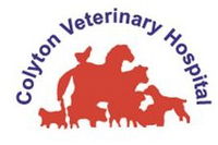 Book St Marys Accommodation Vacations Vets Perth Vets Perth