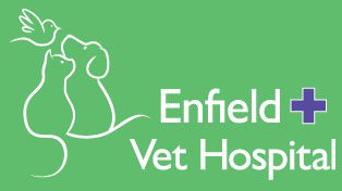 Enfield Veterinary Hospital - Vets Perth 0