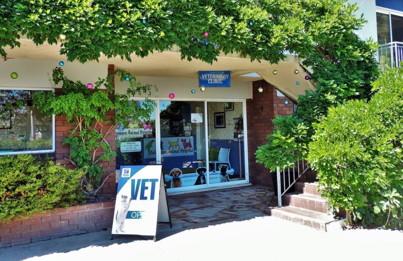 Page ACT Vets Perth