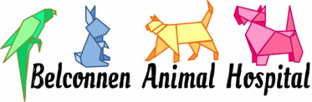 Belconnen Animal Hospital - Vets Perth 1