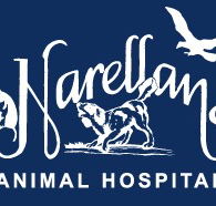 Narellan Animal Hospital - Vets Perth
