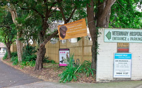 Pennant Hills Veterinary Hospital - Vets Perth 0