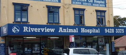 Riverview Animal Hospital - Vets Perth 0