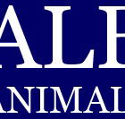 Albert Animal Hospital - Vets Perth